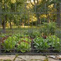 4er Set Gartenzäune Mangold anthrazit 