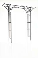 Rosenbogen Milano schwarz