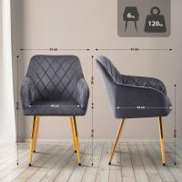 Esszimmerstuhl Monett Samt G dunkelgrau 