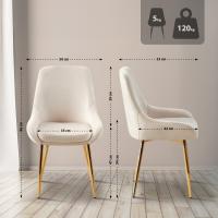 2er Set Esszimmerstuhl Elmira Samt gold creme 2er Set Esszimmerstuhl Elmira Samt gold creme