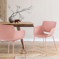 2er Set Stuhl Alpena pink 