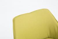 Caracas Lounger STOFF grün Caracas Lounger STOFF grün