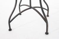 Tisch Asina bronze 