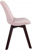 4er Set Besucherstühle Borneo V2 Samt walnuss pink 