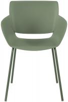 2er Set Stuhl Alpena oliv 