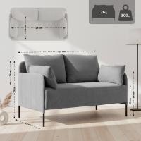 Ziden Couch 2 Sitzer Stoff hellgrau