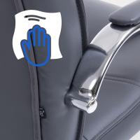 2er Set Stühle Attila grau 