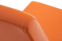 2er Set Esszimmerstühle Belfort orange 