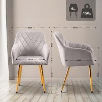 2er Set Esszimmerstuhl Monett Samt G grau 