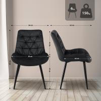2er Set Esszimmerstuhl Rossford schwarz 
