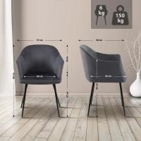 Esszimmerstuhl Jaysie Samt dunkelgrau