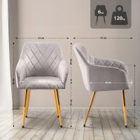 Esszimmerstuhl Monett Samt G grau 