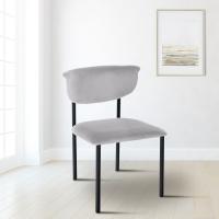 2er Set Besucherstuhl Gambell Samt grau 