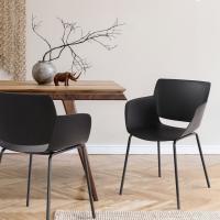 2er Set Stuhl Alpena schwarz 